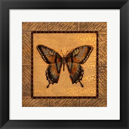 Framed Crackled Butterfly - Swallowtail Print