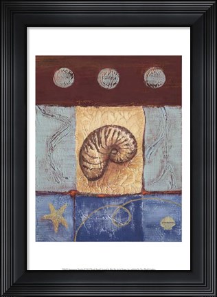 Framed Aquamarine Nautilus Print