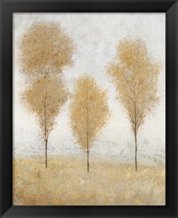 Framed Autumn Springs II Print