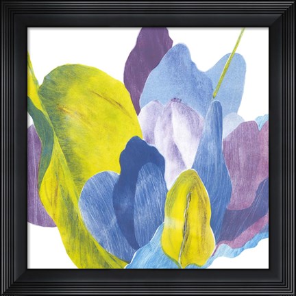 Framed False Indigo III Print