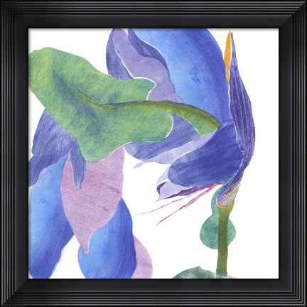 Framed Surprise Indigo II Print
