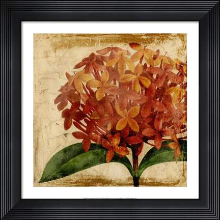 Framed Vibrant Floral III Print