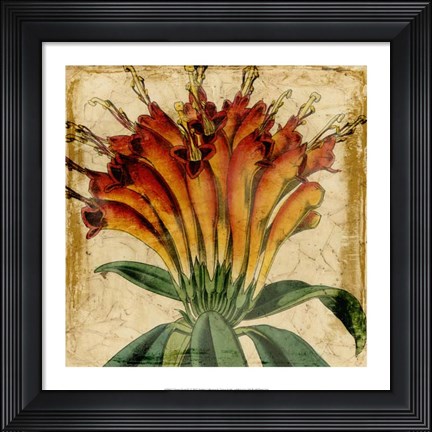 Framed Vibrant Floral IV Print