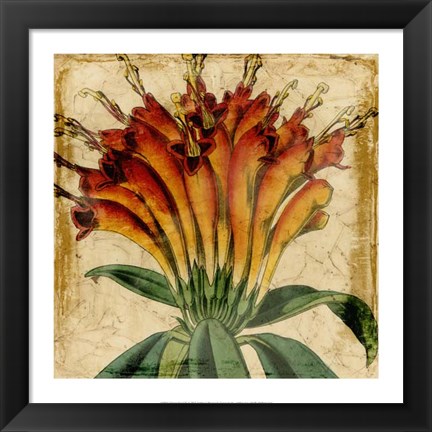 Framed Vibrant Floral IV Print