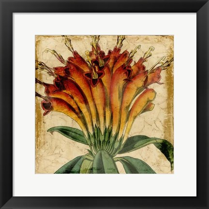 Framed Vibrant Floral IV Print