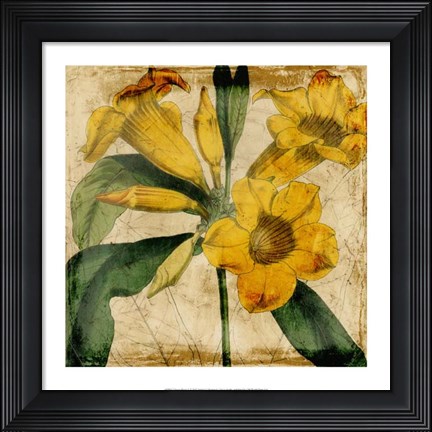 Framed Vibrant Floral V Print