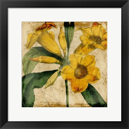 Framed Vibrant Floral V Print