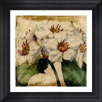 Framed Vibrant Floral VI Print