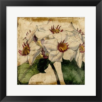 Framed Vibrant Floral VI Print