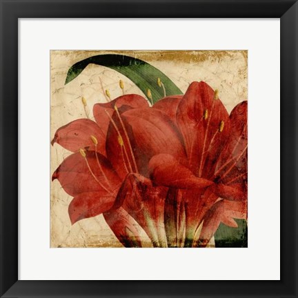 Framed Vibrant Floral VIII Print