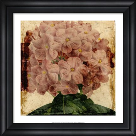 Framed Vibrant Floral IX Print