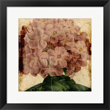 Framed Vibrant Floral IX Print