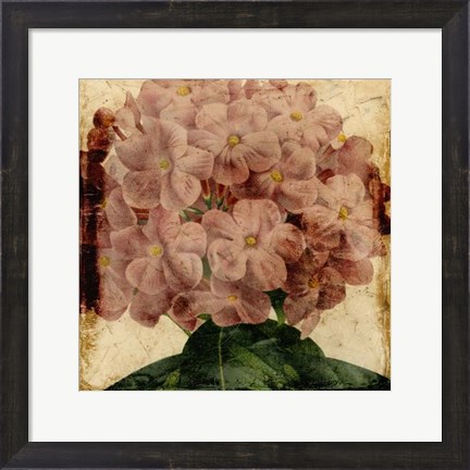Framed Vibrant Floral IX Print