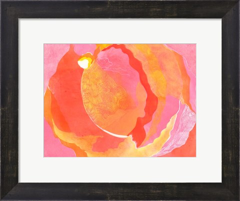 Framed Cabbage Rose I Print