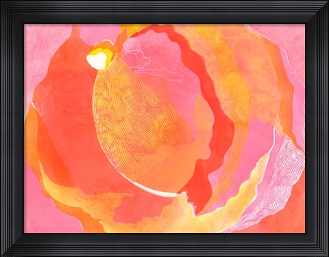 Framed Cabbage Rose I Print