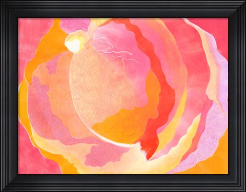 Framed Cabbage Rose III Print