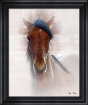 Framed Horse Portrait I Print