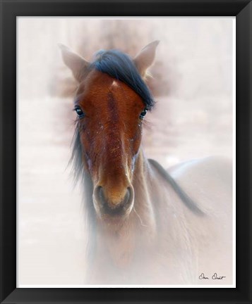 Framed Horse Portrait I Print