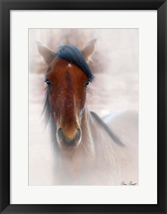 Framed Horse Portrait I Print