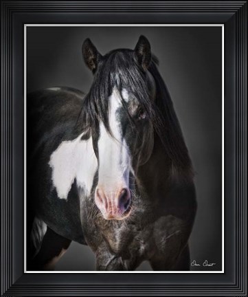 Framed Horse Portrait II Print