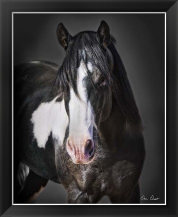 Framed Horse Portrait II Print