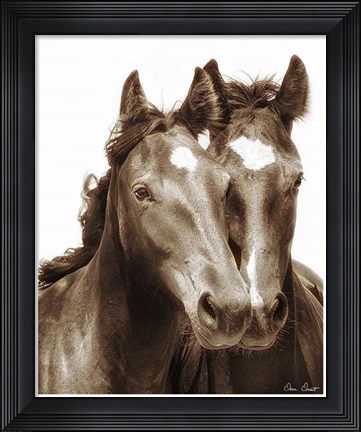 Framed Horse Portrait III Print