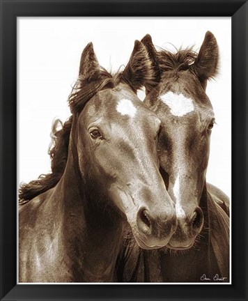 Framed Horse Portrait III Print