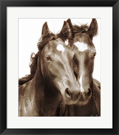 Framed Horse Portrait III Print