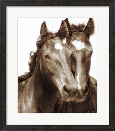 Framed Horse Portrait III Print