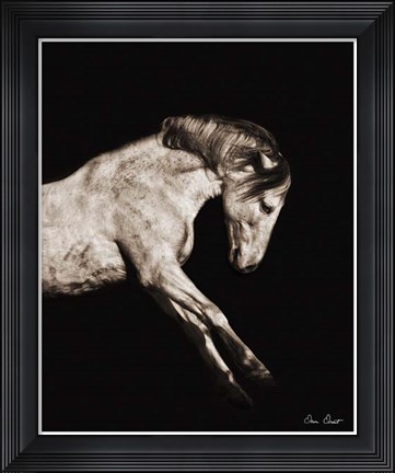 Framed Horse Portrait IV Print