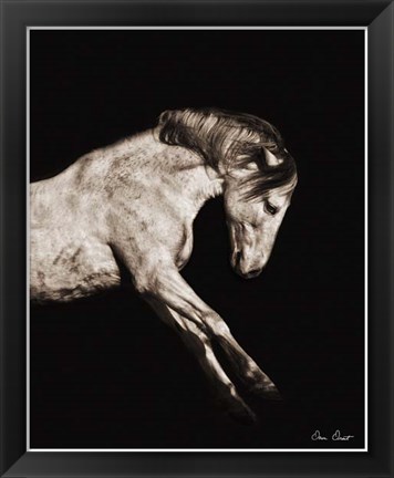 Framed Horse Portrait IV Print