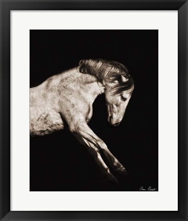 Framed Horse Portrait IV Print