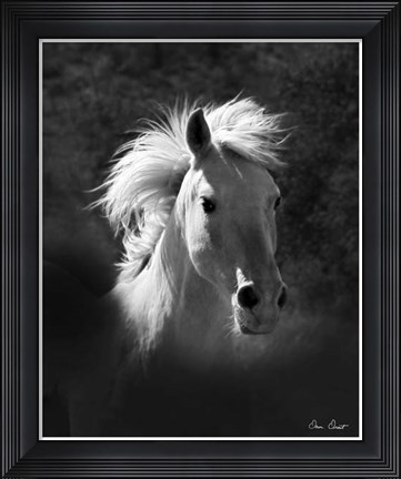 Framed Horse Portrait V Print