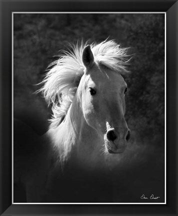 Framed Horse Portrait V Print