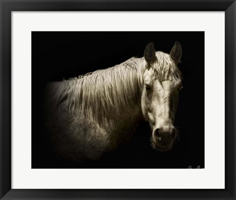 Framed Horse Portrait VI Print