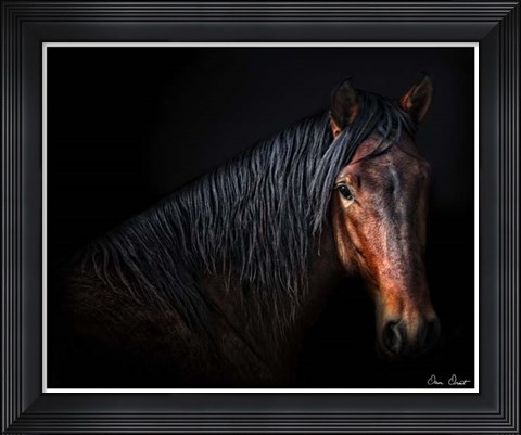 Framed Horse Portrait VII Print