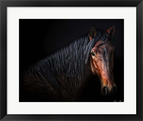 Framed Horse Portrait VII Print