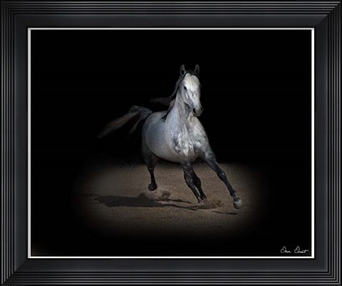 Framed Horse Portrait IX Print