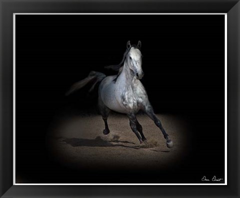 Framed Horse Portrait IX Print