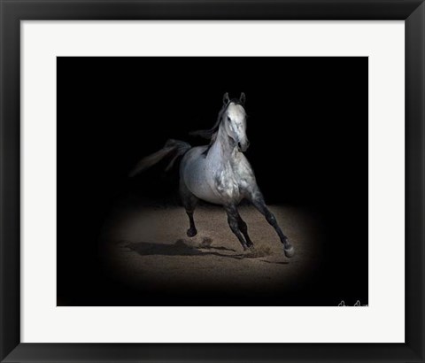 Framed Horse Portrait IX Print