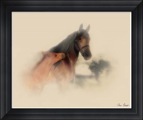 Framed Horse Portrait X Print