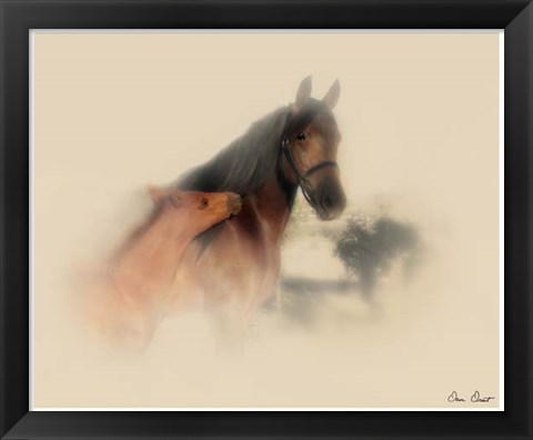 Framed Horse Portrait X Print