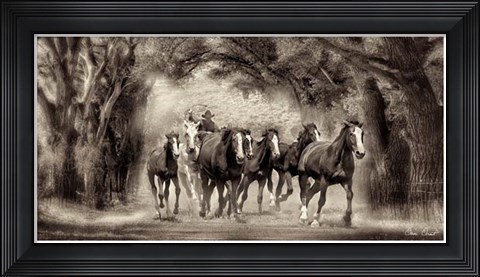 Framed Chase II Print