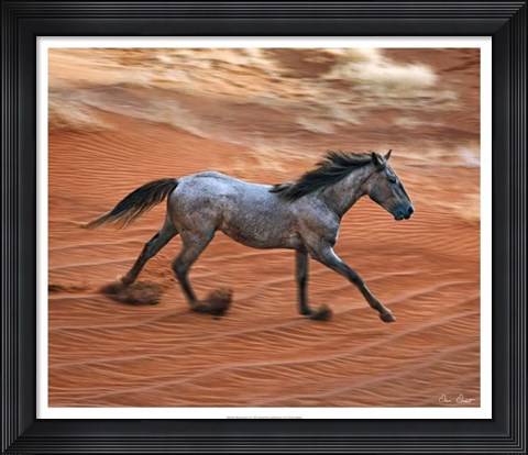 Framed Blazing Horse II Print