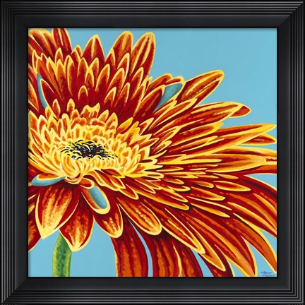 Framed Color Bursts I Print