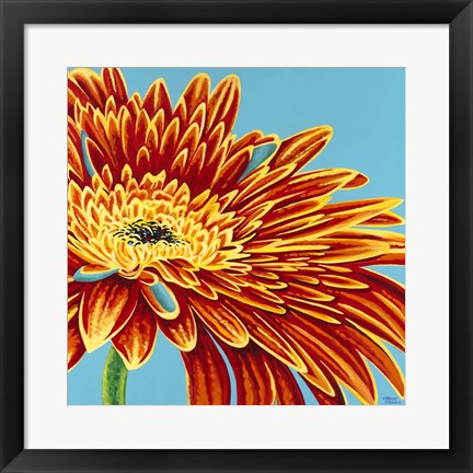 Framed Color Bursts I Print