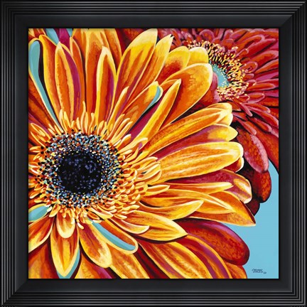 Framed Color Bursts II Print