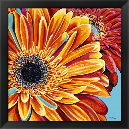 Framed Color Bursts II Print
