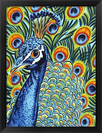 Framed Plumed Peacock I Print