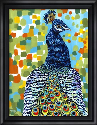 Framed Plumed Peacock II Print